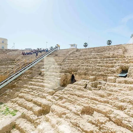 Flamenco Grupo Ac Gestion