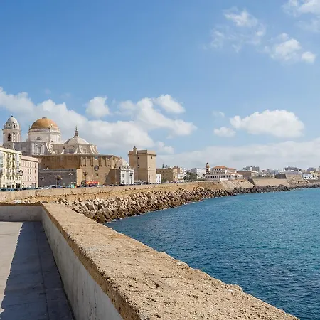 Flamenco Grupo Ac Gestion