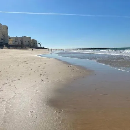 Flamenco Grupo Ac Gestion Cadice