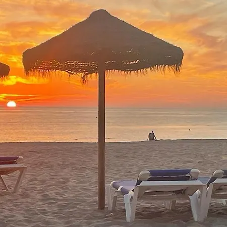 Flamenco Grupo Ac Gestion Cadice