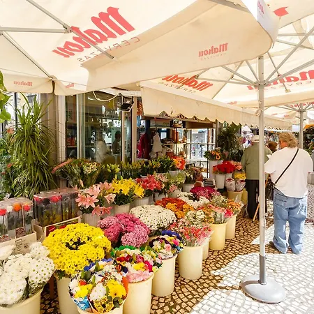 Flamenco Grupo Ac Gestion Appartamento *