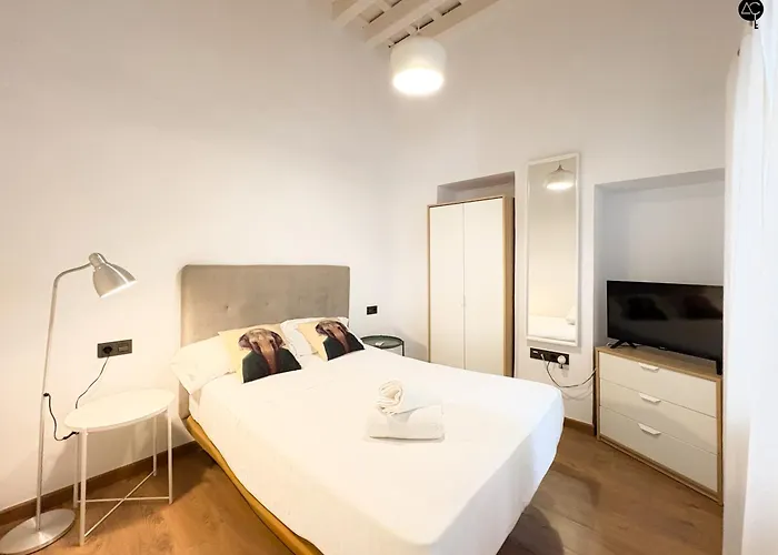 Flamenco Grupo Ac Gestion Lejlighed Cádiz