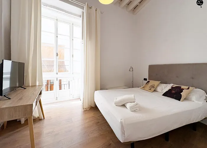 Flamenco Grupo Ac Gestion