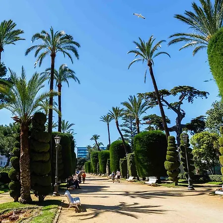 Flamenco Grupo Ac Gestion *